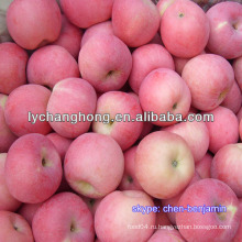 Китай Шаньдун свежее яблоко с названием импортированных фруктов